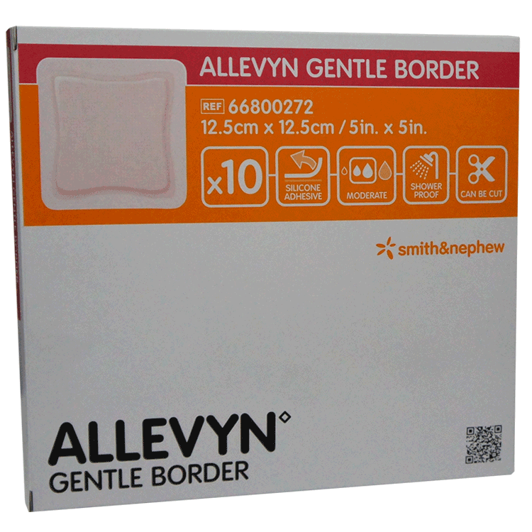 Allevyn Gentle Border 12.5 cm x 12cm x 10 dressings