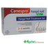 Canespro Fungal Nail Treatment Set