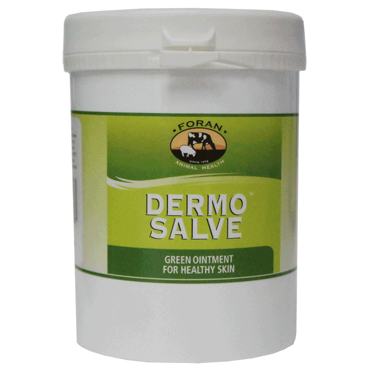 Dermo Salve - Green Tea Tree Ointment for Veterinary Use