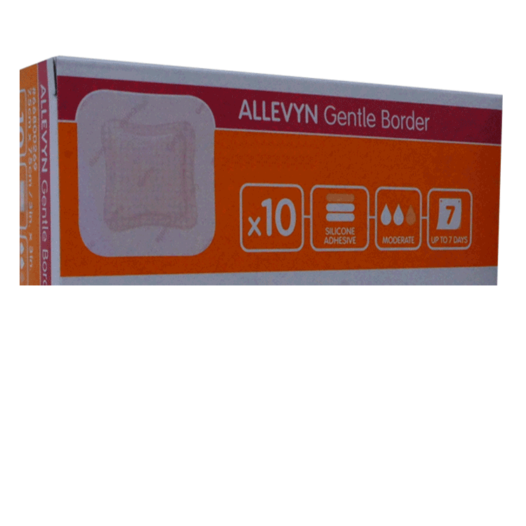 Allevyn Gentle Border 17.5 cm x 17.5 cm x 10 dressings