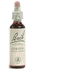 Bachbloesemremedies Cerato 20ml - Laag zelfbeeld