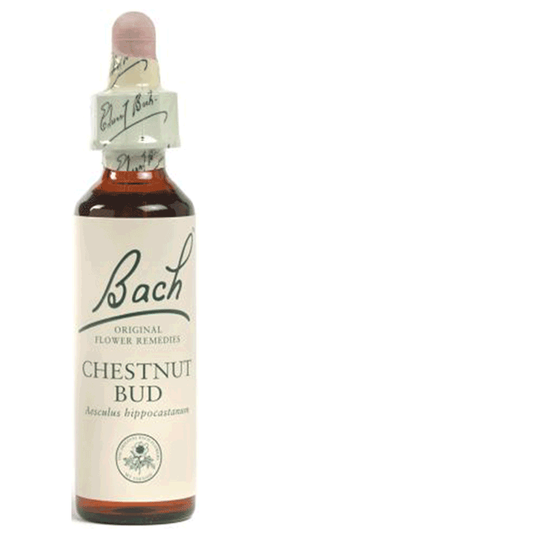 Bach Flower Remedies Chestnut Bud 20ml - Failing to learn from experience