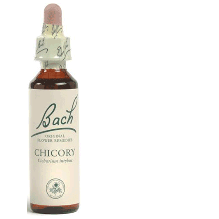 Bachblüten-Heilmittel Chicorée 20 ml – Bei Überfürsorglichkeit