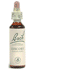 Bachblüten-Heilmittel Chicorée 20 ml – Bei Überfürsorglichkeit