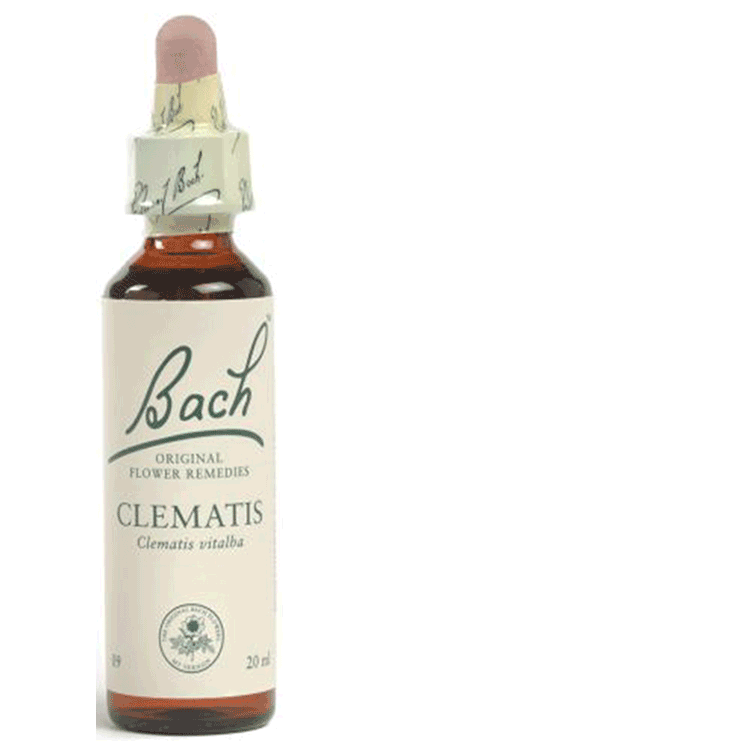 Bachbloesemremedies Clematis 20ml - Concentratieverlies
