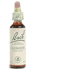 Bachbloesemremedies Clematis 20ml - Concentratieverlies