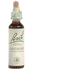 Bach Flower Remedies Centaury 20ml - Selflessness and Life Balance