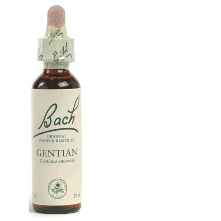 Fleurs de Bach Elm 20 ml – Accepter les échecs