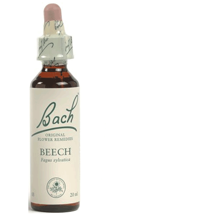 Bach Flower Remedies Beech 20ml - For Irritability and Intolerance