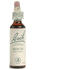 Bach Flower Remedies Beech 20ml - For Irritability and Intolerance