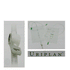 Bard Uriplan Urine Day Bag 750ml ( D7S) with Lever Tap x 10 - Short