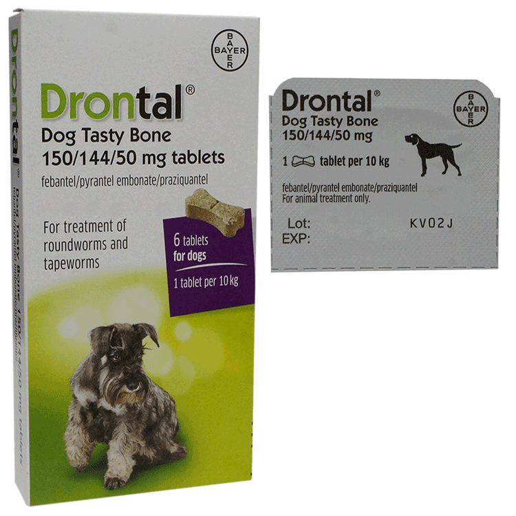 Drontal Dog Tasty Bone x 6 tablets - For Roundworms and Tapeworms