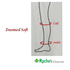 duomed-soft-measurement-diagram.gif